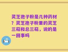 灵芝孢子粉是几种药材？灵芝孢子粉里的灵芝三萜和总三萜，说的是一回事吗