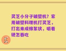 灵芝小分子破壁机？家用破壁料理机打灵芝，打出来成棉絮状，嚼着硬怎吞吃