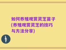 如何养殖观赏灵芝苗子(养殖观赏灵芝的技巧与方法分享)