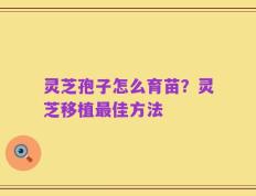 灵芝孢子怎么育苗？灵芝移植最佳方法