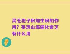 灵芝孢子粉加生粉的作用？妄想山海催化紫芝有什么用