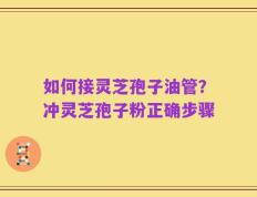如何接灵芝孢子油管？冲灵芝孢子粉正确步骤