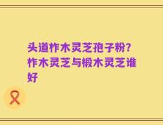 头道柞木灵芝孢子粉？柞木灵芝与椴木灵芝谁好