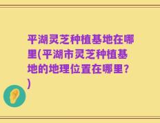 平湖灵芝种植基地在哪里(平湖市灵芝种植基地的地理位置在哪里？)