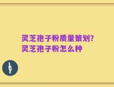 灵芝孢子粉质量策划？灵芝孢子粉怎么种