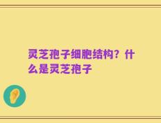 灵芝孢子细胞结构？什么是灵芝孢子