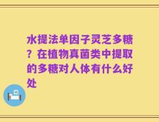 水提法单因子灵芝多糖？在植物真菌类中提取的多糖对人体有什么好处