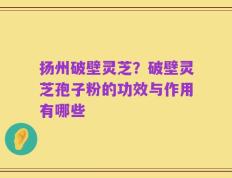 扬州破壁灵芝？破壁灵芝孢子粉的功效与作用有哪些