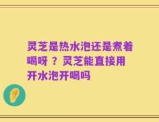 灵芝是热水泡还是煮着喝呀 ？灵芝能直接用开水泡开喝吗