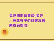 灵芝猫抓草黄芪(灵芝、黄芪等中药材普及援助农民增收)