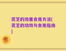 灵芝的效果食用方法(灵芝的功效与食用指南)
