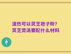 湿热可以灵芝孢子粉？灵芝煲汤要配什么材料