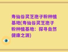 寿仙谷灵芝孢子粉种植基地(寿仙谷灵芝孢子粉种植基地：探寻自然健康之源)