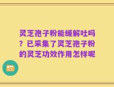 灵芝孢子粉能缓解吐吗？已采集了灵芝孢子粉的灵芝功效作用怎样呢