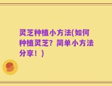 灵芝种植小方法(如何种植灵芝？简单小方法分享！)