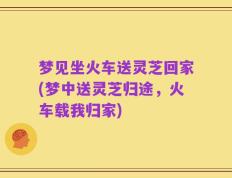 梦见坐火车送灵芝回家(梦中送灵芝归途，火车载我归家)