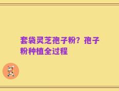 套袋灵芝孢子粉？孢子粉种植全过程