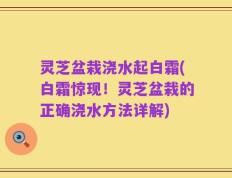 灵芝盆栽浇水起白霜(白霜惊现！灵芝盆栽的正确浇水方法详解)