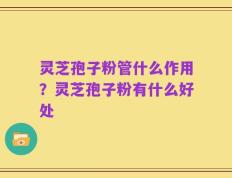 灵芝孢子粉管什么作用？灵芝孢子粉有什么好处