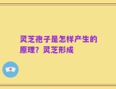 灵芝孢子是怎样产生的原理？灵芝形成