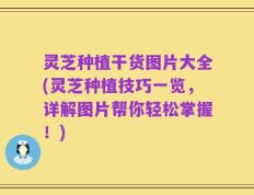 灵芝种植干货图片大全(灵芝种植技巧一览，详解图片帮你轻松掌握！)
