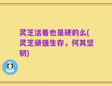 灵芝活着也是硬的么(灵芝顽强生存，何其坚韧)