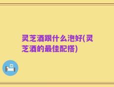 灵芝酒跟什么泡好(灵芝酒的最佳配搭)