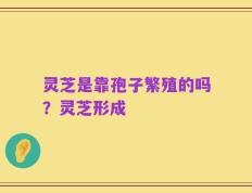 灵芝是靠孢子繁殖的吗？灵芝形成