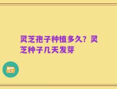 灵芝孢子种植多久？灵芝种子几天发芽