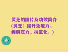灵芝的图片及功效简介(灵芝：提升免疫力，缓解压力，抗氧化。)