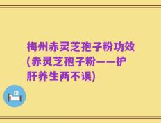 梅州赤灵芝孢子粉功效(赤灵芝孢子粉——护肝养生两不误)