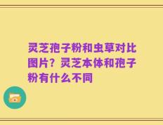 灵芝孢子粉和虫草对比图片？灵芝本体和孢子粉有什么不同