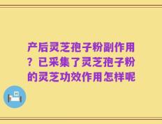 产后灵芝孢子粉副作用？已采集了灵芝孢子粉的灵芝功效作用怎样呢