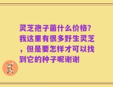 灵芝孢子菌什么价格？我这里有很多野生灵芝，但是要怎样才可以找到它的种子呢谢谢