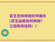 灵芝怎样辨别好坏图片(灵芝品质如何辨别？三招助你选购！)
