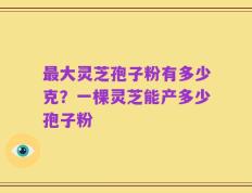 最大灵芝孢子粉有多少克？一棵灵芝能产多少孢子粉