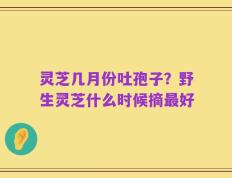 灵芝几月份吐孢子？野生灵芝什么时候摘最好