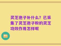 灵芝孢子补什么？已采集了灵芝孢子粉的灵芝功效作用怎样呢