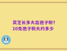 灵芝长多大出孢子粉？10克孢子粉大约多少