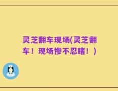 灵芝翻车现场(灵芝翻车！现场惨不忍睹！)