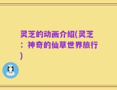 灵芝的动画介绍(灵芝：神奇的仙草世界旅行)