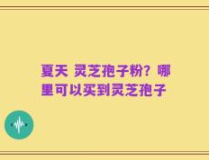 夏天 灵芝孢子粉？哪里可以买到灵芝孢子