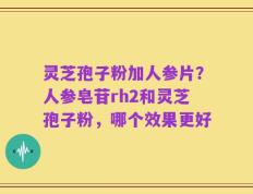 灵芝孢子粉加人参片？人参皂苷rh2和灵芝孢子粉，哪个效果更好
