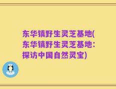 东华镇野生灵芝基地(东华镇野生灵芝基地：探访中国自然灵宝)