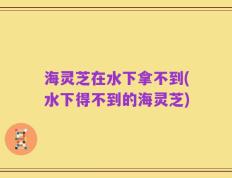 海灵芝在水下拿不到(水下得不到的海灵芝)