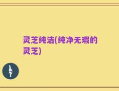 灵芝纯洁(纯净无瑕的灵芝)
