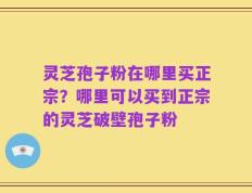 灵芝孢子粉在哪里买正宗？哪里可以买到正宗的灵芝破壁孢子粉