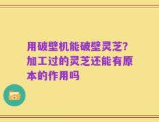 用破壁机能破壁灵芝？加工过的灵芝还能有原本的作用吗
