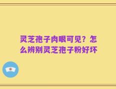 灵芝孢子肉眼可见？怎么辨别灵芝孢子粉好坏
