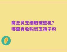 商丘灵芝细胞破壁机？哪里有收购灵芝孢子粉